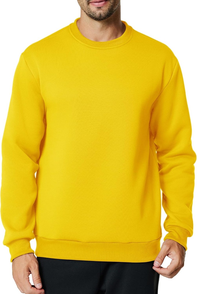Men's Crewneck Sweatshirt Casual Long Sleeve Sweat Shirts Athletic Fleece Basic Pullover Shirts
